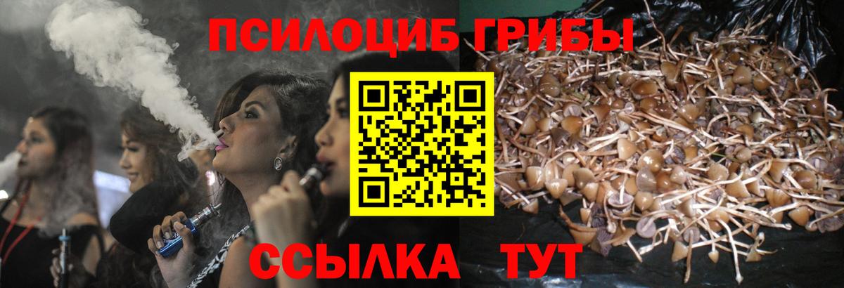 Дзержинск  Псилоцибиновые грибы мухоморы  Галлюциногенные грибы Magic Shrooms  Вход с VPN 
