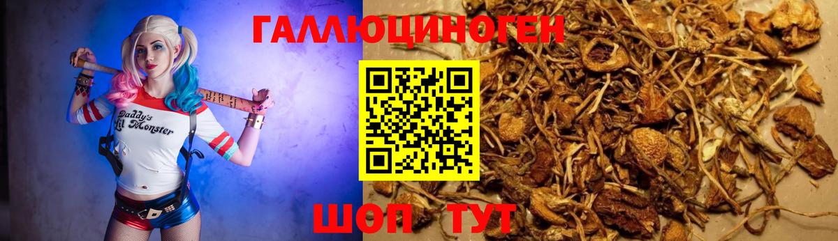 Галлюциногенные грибы Cubensis Дзержинск